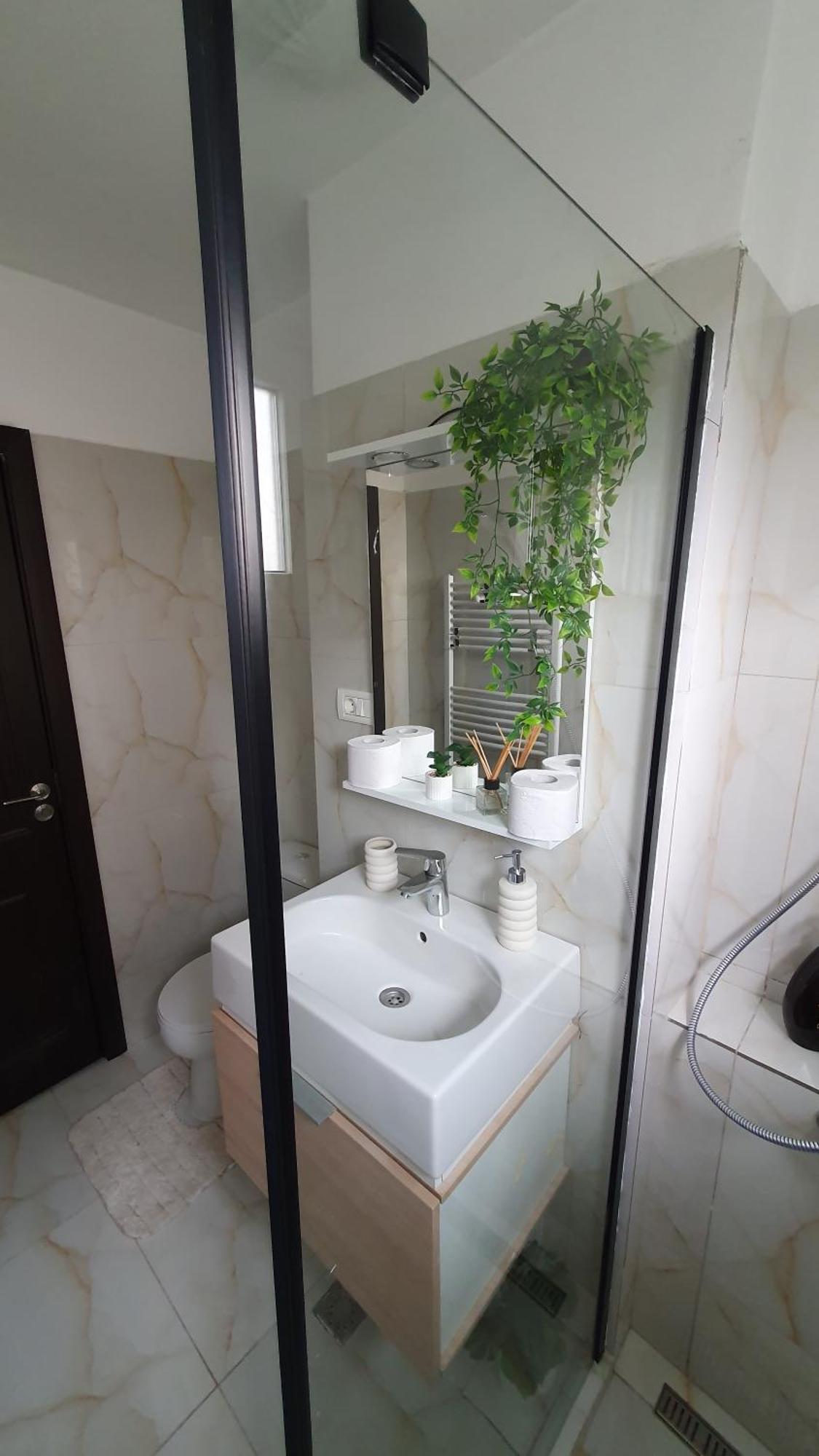 Andrei Apartment Braşov Eksteriør billede