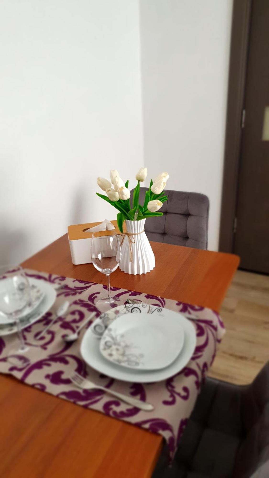 Andrei Apartment Braşov Eksteriør billede